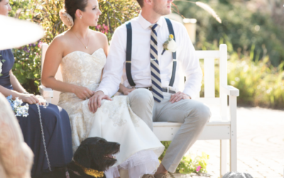 Ways Your Dog Can Take Part in the Big Day