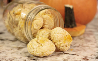 Fresh Pumpkin Squash + Oat Treats