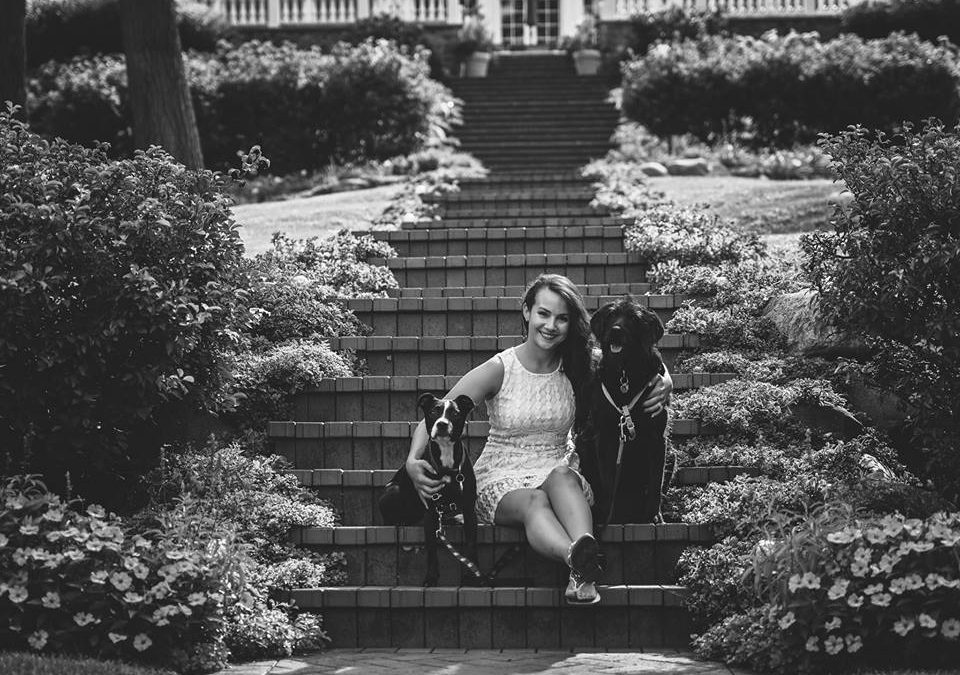 One Year of Blogging & What’s Next for The DIY Dog Mom! {Also, Giveaway!}