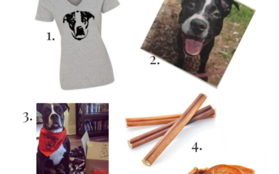 Last Minute Gift Ideas for Dog Lovers
