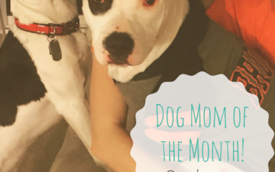 Dog Mom of the Month: Sydney