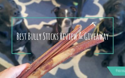 Best Bully Sticks Review AND Giveaway