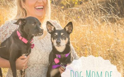 Dog Mom of the Month – Clare S.