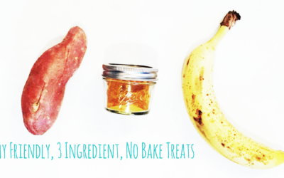 Easy, No Bake & Tummy Friendly Treats!