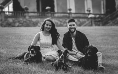 We did a Photo Shoot with the Dogs, Heres Why + Tips