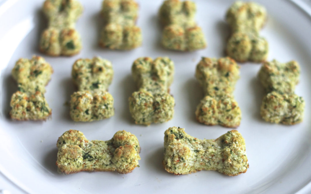 Spinach, Apple & Carrot Homemade Dog Treats