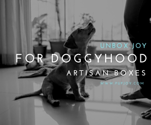 advertisement advertisement