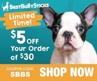 advertisement advertisement