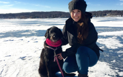 The Adventurous Dog & Where to Stay when Traveling