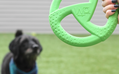 Durable Dog Toys that Benefit Ethiopian Orphans