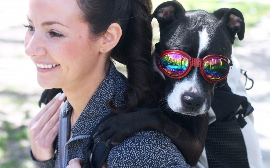 Mylahs K9 Sport Sack Review