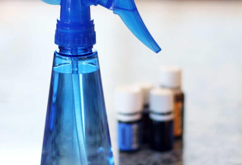 DIY Dog Safe Ant Control Solution