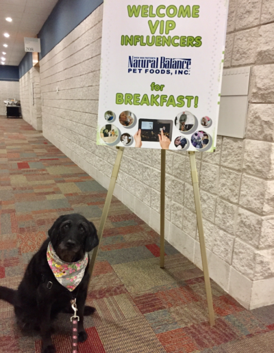 Screen Shot 2017-05-22 at 3.26.42 PM