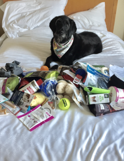 Screen Shot 2017-05-22 at 3.26.53 PM