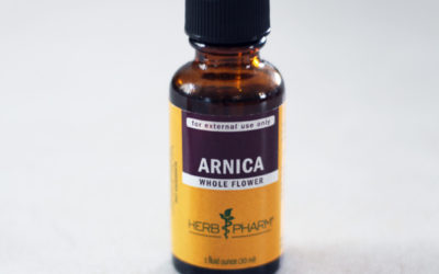 Arnica for Dogs: All Natural Pain Reliever