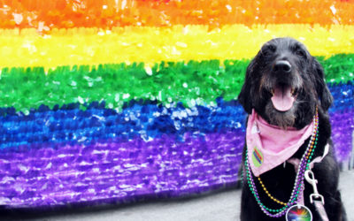 Izzy’s Chicago Street Fest Guide: Pride Fest