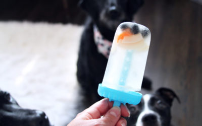 Homemade Bone Broth Popsicles for Dogs