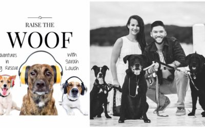 Raise the Woof Podcast | My Interview on Social Media for Dogs, Blogging & More