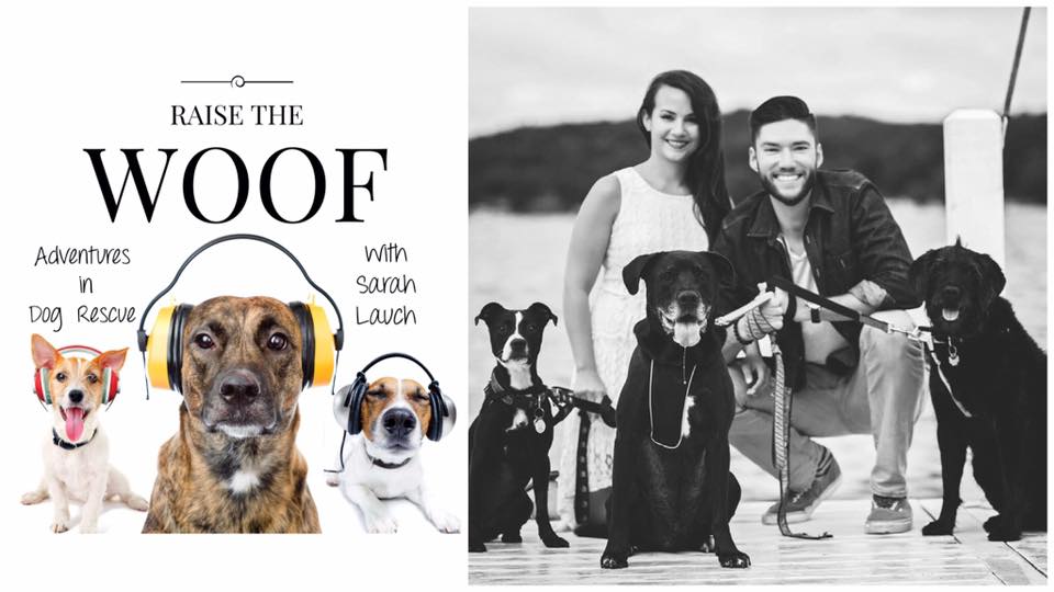 Raise the Woof Podcast | My Interview on Social Media for Dogs, Blogging & More