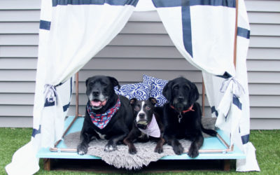 DIY Outdoor Dog Bed Lounger